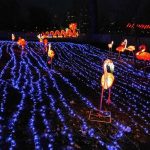 Kineski festival svetla